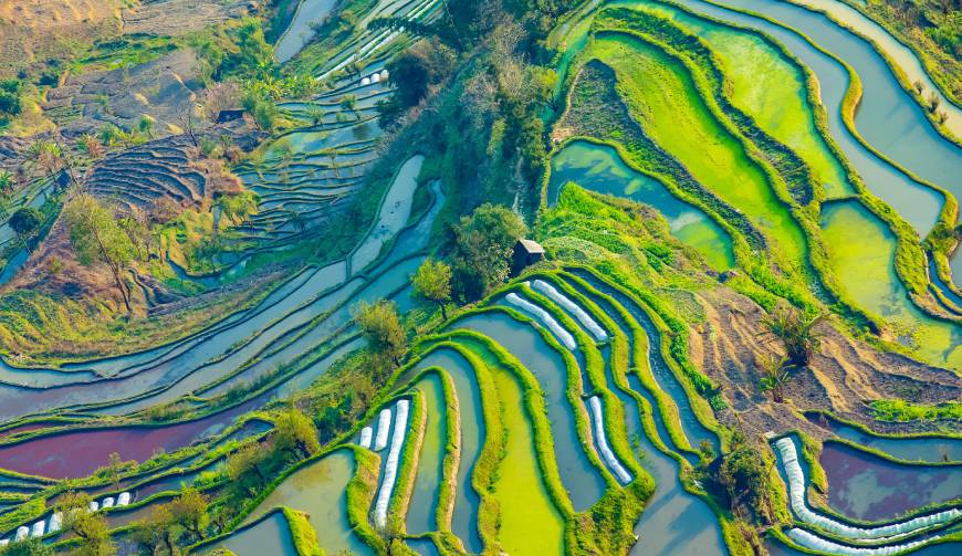 走进淮滨县TVC拍摄：解锁本地化场景与创意镜头的完美融合